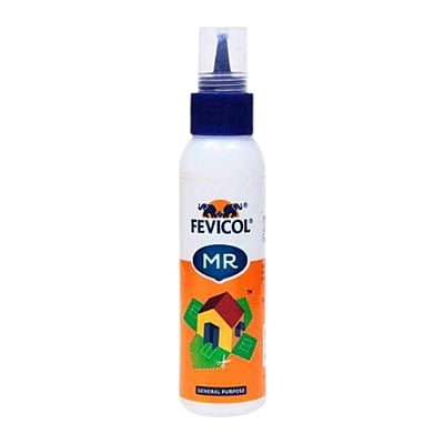 Pidilite Fevikol 100g