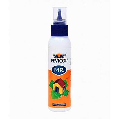 Pidilite Fevikol 20g