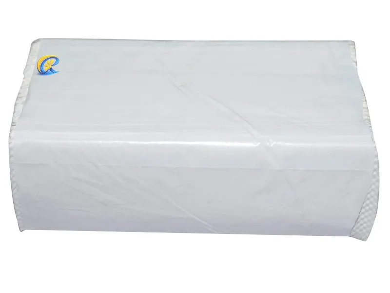 megasoft-disposable-n-fold-tissue-paper-bulk-pack.jpg.webp