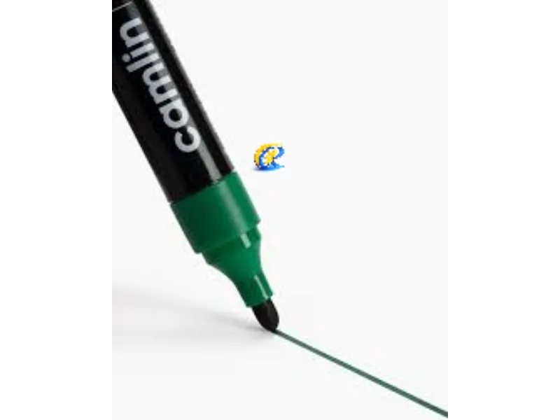 Camlin white bard marker Green tip.webp