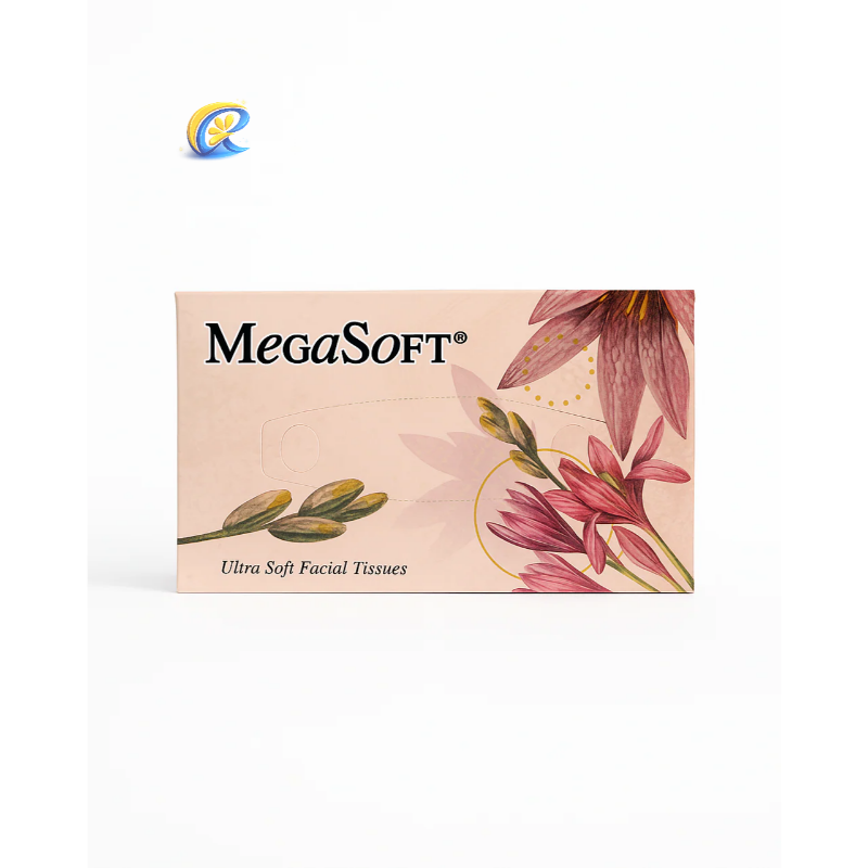 [Megasoft Tissue Paper Box] Megasoft Premium 2 Ply Tissue Paper Box (100 Pulls, 200 Sheets) – Soft, Embossed & Super Absorbent Facial Tissues